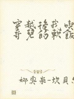 穿越后我吃到了哥儿的软饭炉山灰