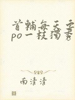 首辅每天要不够po一枝独秀全文