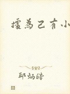 据为己有小说封面