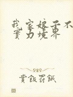 我家娘子不对劲实力境界