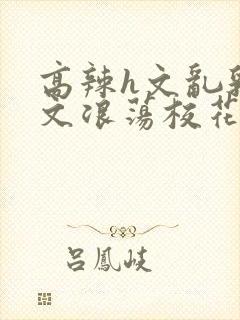 高辣h文乱乳h文浪荡校花小说封面