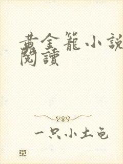 黄金笼小说免费阅读