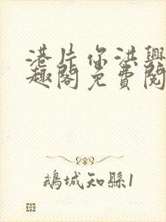 港片你洪兴仔笔趣阁免费阅读全文