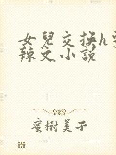 女儿交换h系列辣文小说封面