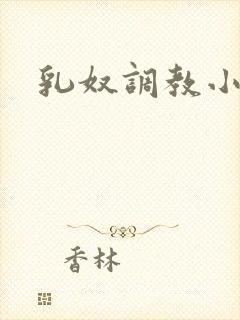 乳奴调教小说