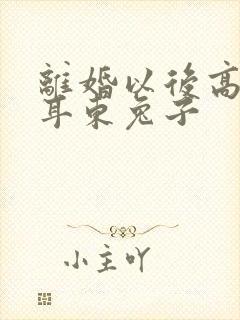 离婚以后高干 耳东兔子