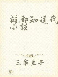 谁都知道我爱你小说