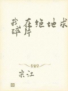 我在绝地求生捡碎片