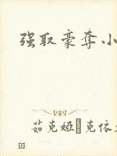 强取豪夺小说封面