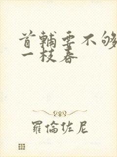 首辅要不够po一枝春封面