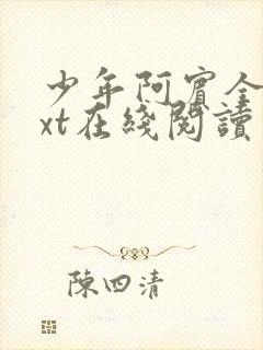 少年阿宾全文txt在线阅读