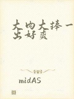 大肉大捧一进一出好爽