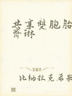 共享双胞胎齐娜齐琳封面