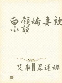 白领娇妻被调教小说