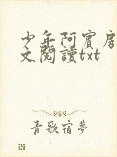 少年阿宾房东全文阅读txt