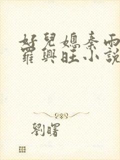 好儿媳秦雨罗明罗兴旺小说