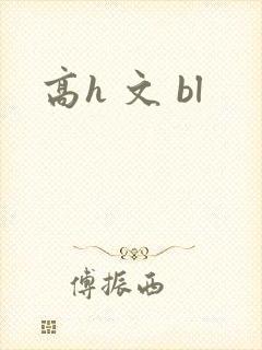 高h 文 bl