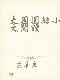 大团圆结小茹全文阅读