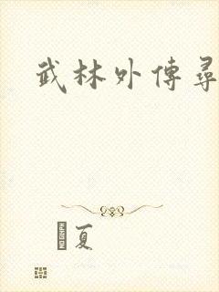 武林外传寻宝封面