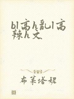 bl高h乱l高辣h文