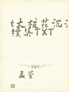 t大校花沉浮录续集TXT