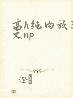 高h纯肉放荡h文np