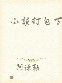 小说打包下载