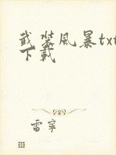 武装风暴txt下载封面
