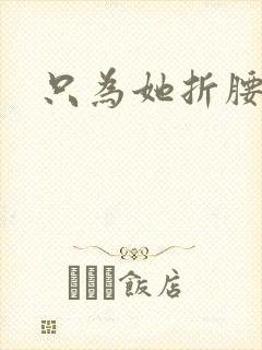 只为她折腰封面