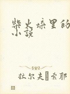 柴火垛里的疯狂小说封面