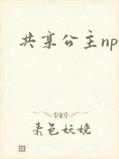 共享公主npc