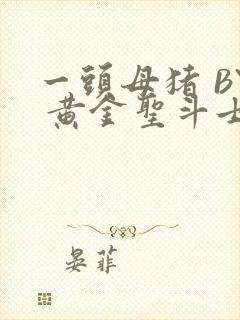 一头母猪 BY 黄金圣斗士