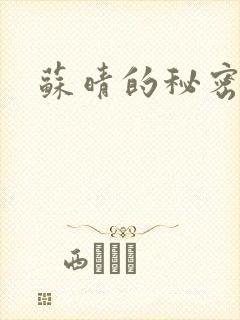 苏晴的秘密小说