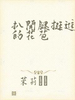 扒开腿挺进湿润的花苞