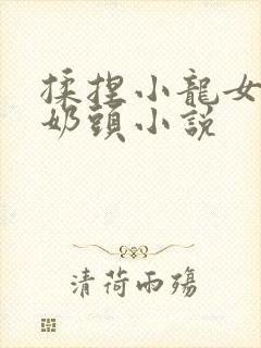 揉捏小龙女粉嫩奶头小说