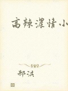 高辣浓情小说