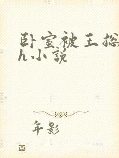 卧室被王总干高h小说