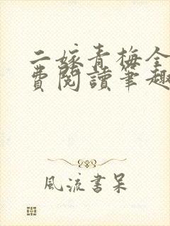 二嫁青梅全文免费阅读笔趣阁