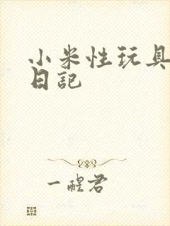 小米性玩具羞辱日记