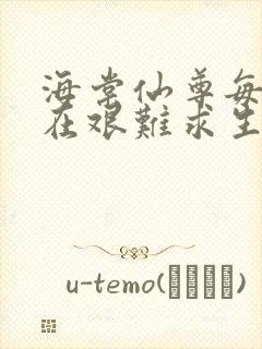 海棠仙尊每天都在艰难求生封面