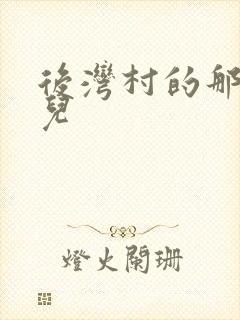 后湾村的那些事儿