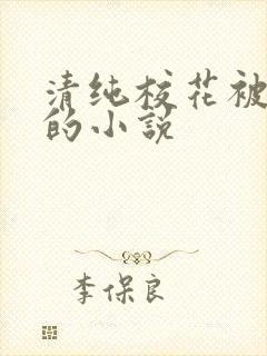 清纯校花被调教的小说封面