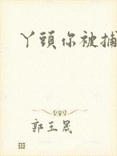 丫头你被捕了封面