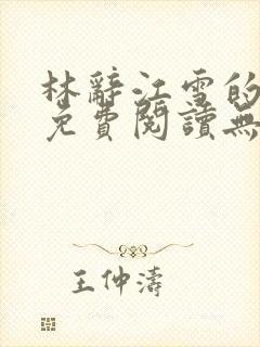 林辞江雪的小说免费阅读无弹窗封面