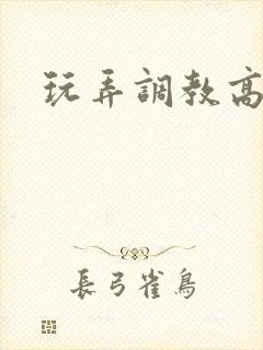 玩弄调教高h文封面