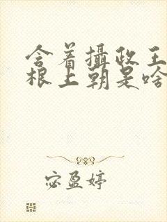 含着摄政王的紫根上朝是啥小说封面