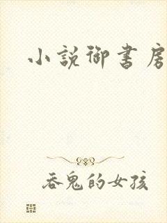 小说御书房封面