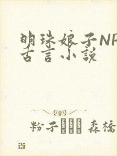 明珠娘子NPC古言小说