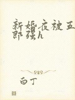 新婚夜被五个伴郎强h