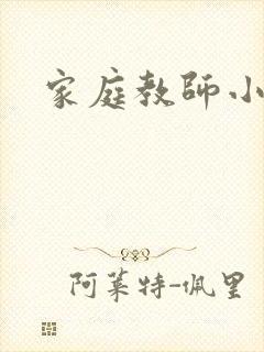 家庭教师小说封面